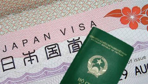 Xin visa Nhật bản có khó không? Visa Nhật bản có mấy loại? Làm sao để phân biệt các loại visa Nhật bản?