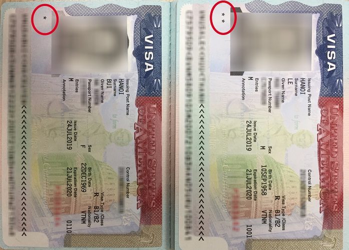 what do these stars on US visa mean - US VISA PHOTO