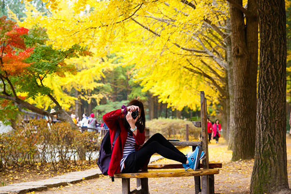 WHERE TO GO IN SEOUL - mùa thu ở hàn quốc