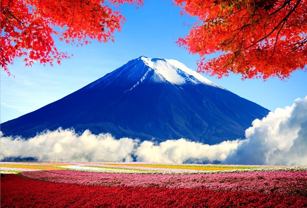 Cảnh đẹp ở Nhật Bản làm mê hồn bạn! - Xinvisaquocte
