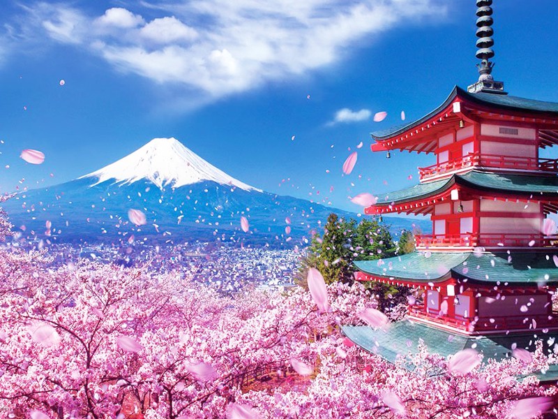 Du lịch Tokyo Nhật Bản có gì đẹp? - Xinvisaquocte