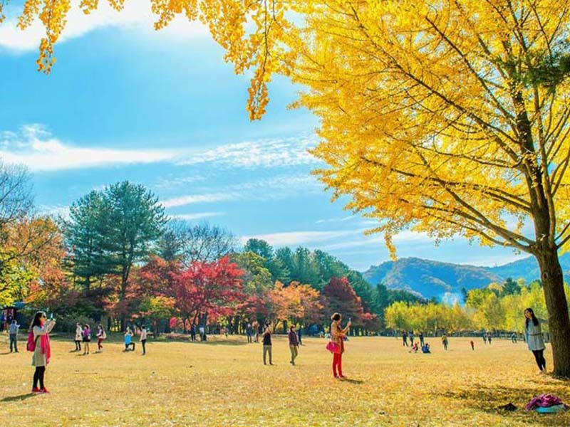 Mùa thu Hàn Quốc có thời tiết lý tưởng nhất trong năm