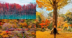 Autumn in Japan and experiences to enjoy