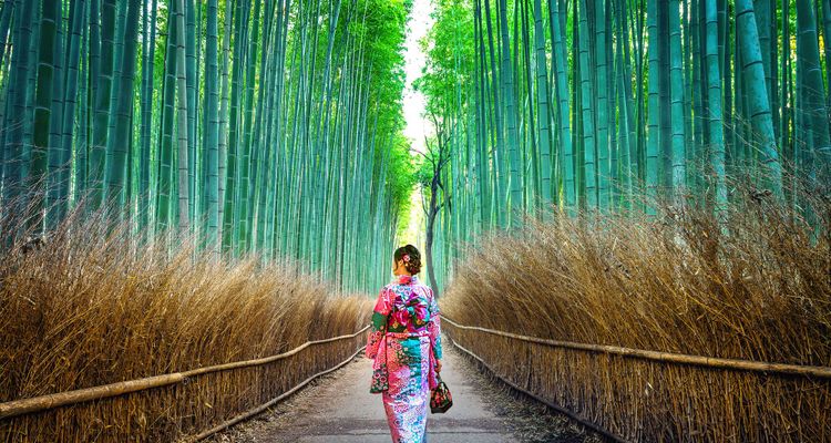 Rừng tre Arashiyama Ở THÀNH PHỐ KYOTO