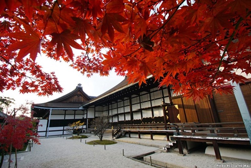 Cung điện Hoàng gia Kyoto ở cố đô Kyoto Nhật Bản
