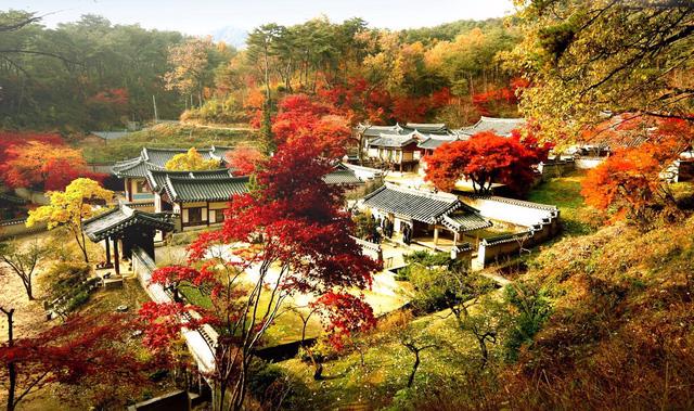 Cung điện Changdeokgung mùa lá đỏ hàn quốc