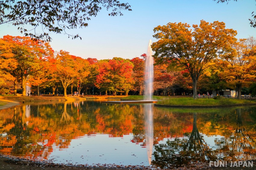 Công viên Yoyogi vào mùa lá đỏ nhật bản
