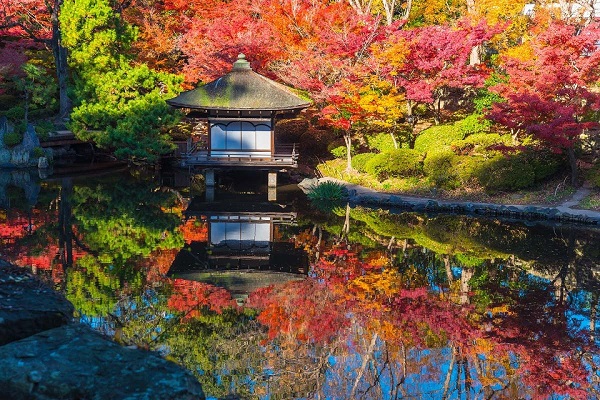 Độc đáo vườn Nishinomaru trong lâu đài Osaka