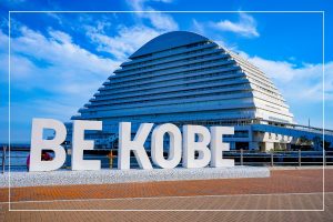 Thành phố Kobe nằm trên đảo Honshu và được biết đến là một trong những thành phố sôi động nhất Nhật Bản. Thành phố nằm trên một bến cảng tuyệt