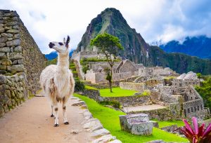 Peru có lẽ là một trong những điểm đến nổi tiếng nhất Nam Mỹ và khu định cư bí ẩn Machu Picchu đã tô điểm cho nhiều tấm bưu thiếp du lịch