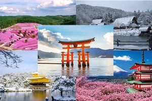 Nhật Bản đang nhanh chóng trở thành một trong những điểm đến du lịch hàng đầu trên thế giới.
